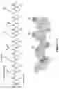 Fig. 17 - SELF-ASSEMBLING PEPTIDE COMPOSITIONS