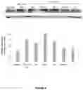 Fig. 09 - Compositions and methods for inhibiting CD279 interactions