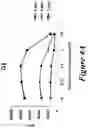 Fig. 08 - Peptide conjugates