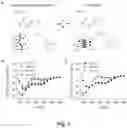 Fig. 02 - Conformation switchable antimicrobial peptides and methods of using the same