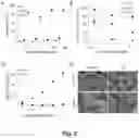 Fig. 03 - Conformation switchable antimicrobial peptides and methods of using the same