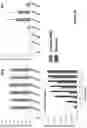 Fig. 11 - Methods and compositions for antibody-evading virus vectors