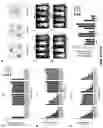 Fig. 15 - Methods and compositions for antibody-evading virus vectors