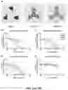 Fig. 16 - Methods and compositions for antibody-evading virus vectors