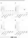 Fig. 03 - OPTIMIZED NUCLEIC ACID MOLECULES