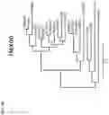 Fig. 03 - Recombinant adenoviruses and uses thereof