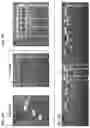 Fig. 06 - Recombinant adenoviruses and uses thereof