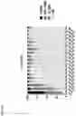 Fig. 07 - Recombinant adenoviruses and uses thereof