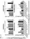Fig. 105 - Recombinant adenoviruses and uses thereof