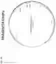 Fig. 29 - Recombinant adenoviruses and uses thereof