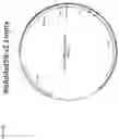 Fig. 34 - Recombinant adenoviruses and uses thereof