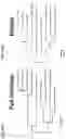 Fig. 83 - Recombinant adenoviruses and uses thereof