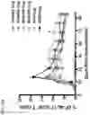 Fig. 84 - Recombinant adenoviruses and uses thereof