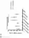 Fig. 90 - Recombinant adenoviruses and uses thereof