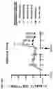Fig. 91 - Recombinant adenoviruses and uses thereof