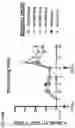 Fig. 92 - Recombinant adenoviruses and uses thereof