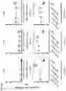 Fig. 96 - Recombinant adenoviruses and uses thereof
