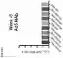 Fig. 98 - Recombinant adenoviruses and uses thereof