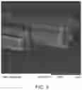 Fig. 04 - SILK FIBERS