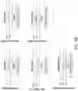 Fig. 06 - SILK FIBERS