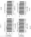 Fig. 06 - ANTIMICROBIAL PEPTIDES