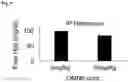 Fig. 09 - ANTIMICROBIAL PEPTIDES