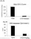 Fig. 10 - ANTIMICROBIAL PEPTIDES