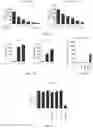 Fig. 07 - MODIFIED IMMUNOMODULATORY PEPTIDE
