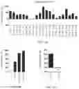 Fig. 09 - MODIFIED IMMUNOMODULATORY PEPTIDE