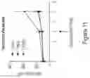 Fig. 16 - IL-10 variant molecules conjugated with antibody variable domain regions