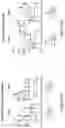 Fig. 19 - IL-10 variant molecules conjugated with antibody variable domain regions