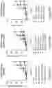 Fig. 23 - IL-10 variant molecules conjugated with antibody variable domain regions