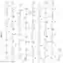 Fig. 03 - IL-15 conjugates and uses thereof