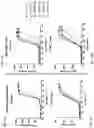 Fig. 18 - IL-15 conjugates and uses thereof