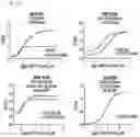 Fig. 06 - TIGIT- and light-based chimeric proteins