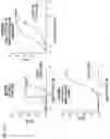 Fig. 21 - TIGIT- and light-based chimeric proteins