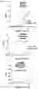 Fig. 25 - TIGIT- and light-based chimeric proteins