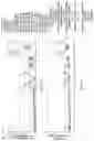 Fig. 33 - TIGIT- and light-based chimeric proteins
