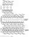 Fig. 40 - TIGIT- and light-based chimeric proteins