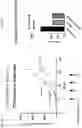 Fig. 112 - NK CELL-DIRECTED CHIMERIC PROTEINS