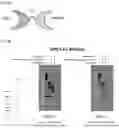 Fig. 17 - NK CELL-DIRECTED CHIMERIC PROTEINS