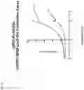Fig. 95 - NK CELL-DIRECTED CHIMERIC PROTEINS
