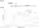 Fig. 07 - METHODS OF USE OF SOLUBLE CD24 FOR THERAPY OF RHEUMATOID ARTHRITIS