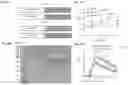 Fig. 13 - METHODS OF USE OF SOLUBLE CD24 FOR THERAPY OF RHEUMATOID ARTHRITIS