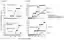 Fig. 16 - METHODS OF USE OF SOLUBLE CD24 FOR THERAPY OF RHEUMATOID ARTHRITIS