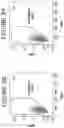Fig. 05 - CO-STIMULATORY DOMAINS FOR USE IN GENETICALLY-MODIFIED CELLS