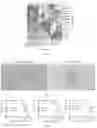Fig. 04 - HPV Proteins, Antibodies, and Uses in Managing Abnormal Epithelial Cell Growth