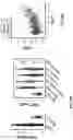 Fig. 10 - METHODS OF TREATING CANCER USING PD-1 AXIS BINDING ANTAGONISTS AND TIGIT INHIBITORS