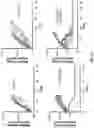 Fig. 18 - METHODS OF TREATING CANCER USING PD-1 AXIS BINDING ANTAGONISTS AND TIGIT INHIBITORS