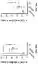 Fig. 53 - METHODS OF TREATING CANCER USING PD-1 AXIS BINDING ANTAGONISTS AND TIGIT INHIBITORS